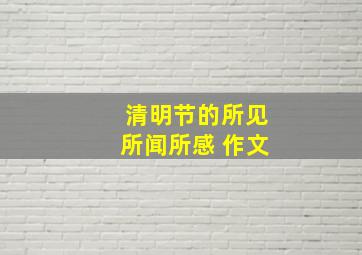 清明节的所见所闻所感 作文